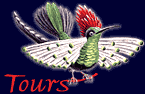 tours